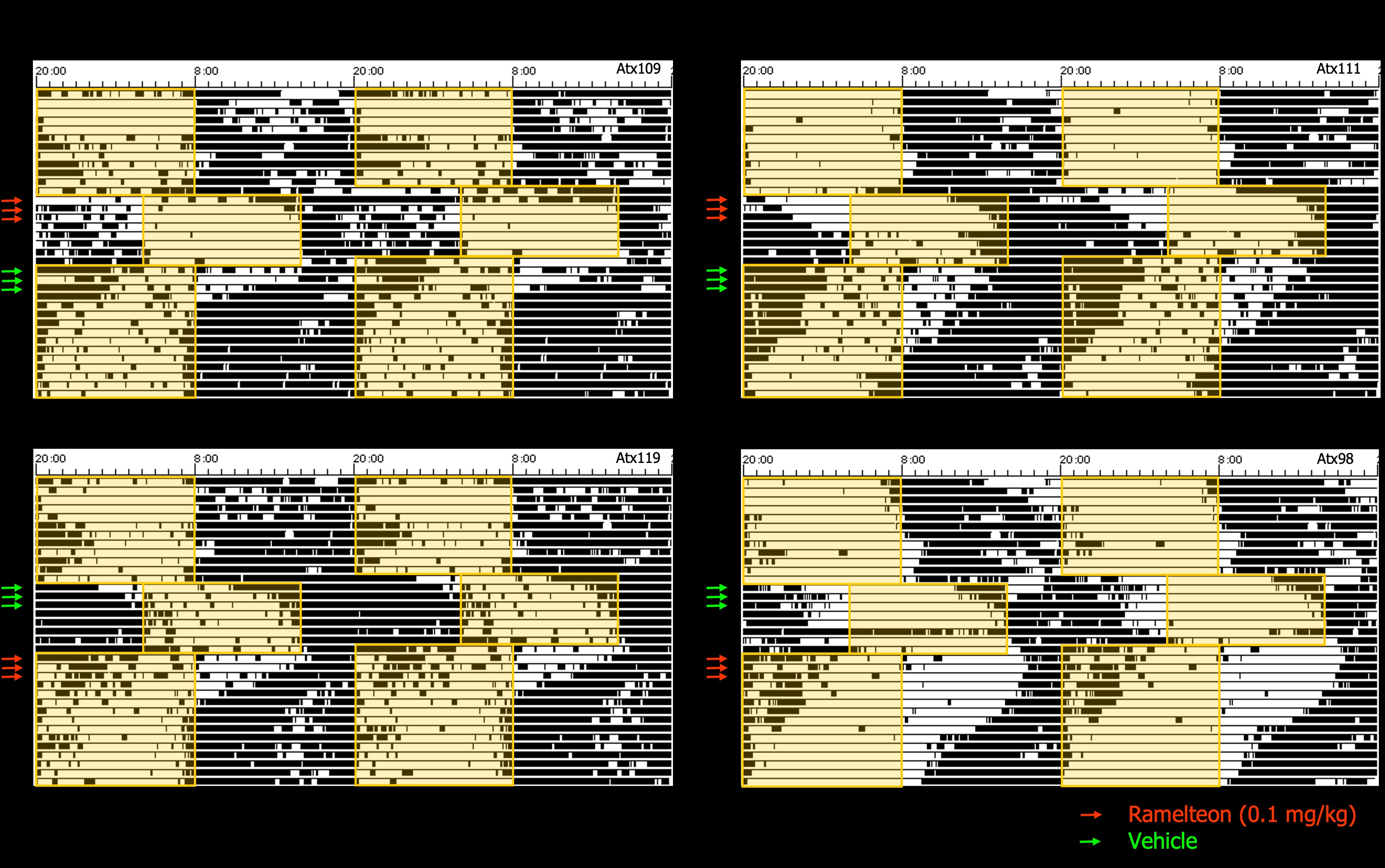 24-hour EEG hypnograms comparing sleep-wake architecture in wild-type versus Ataxin-3 transgenic rats