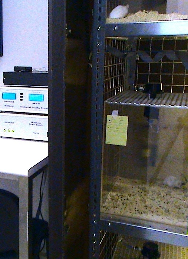 Neurophysiology recording laboratory showing telemetry receiver arrays, monitoring workstations, and signal acquisition hardware